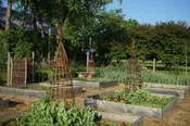 Plant Support Treillage Kit - 4 Units (2027 Preorder) — LIVING WILLOW FARM