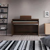Kawai CA 401