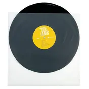 100 Frosted Inner Album Sleeves 12 1/16" x 12" + 1/8" Lip