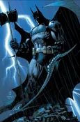 ABSOLUTE BATMAN THE COVERS HC