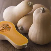 Butternut Squash - Way Farms — Chillicothe Farmers Market