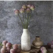 Allium - Sunset