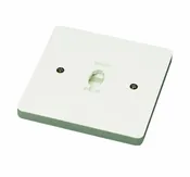 0.5″ Height Monopoint – White