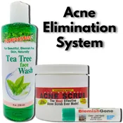 Acne Elimination System