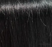 18" Clip In Remy Hair Extensions: Black Stallion No. 1