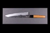 Asano Kajiya 210mm Stainless Clad White #1 Wa-Gyuto