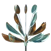 Agave