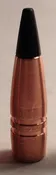 .30 cal 110 gr SCPT
