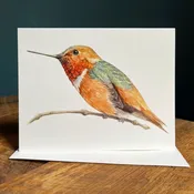 Amy Shawley Paquette Allen's Hummingbird Blank Note Card