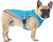 Canada Pooch Chill Seeker Dog Cooling Vest, Blue, 16
