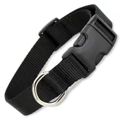 Black Nylon Dog Collar