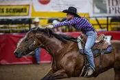 Hayle Gibson NFR Saddle Pad