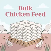 Full Pallet Bulk Organic Chicken Feed (1,909 lbs.)