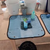 DIY Potting & Planting Experience Reservation