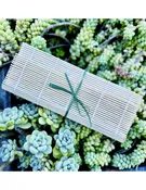 Pure Luxury Treatment Gift Certificate — The Green Facialist