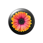 Invisalign™ Aligner Case Orange Textured Daisy
