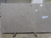 Azul Platino Countertop