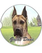 231-66 Great Dane Car Coaster