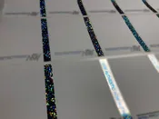 Holographic Labels