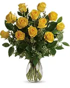 1 DOZEN YELLOW ROSES