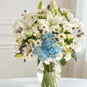 A serene and elegant vase