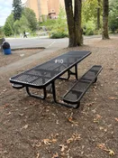 #10 Picnic Table