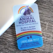 Economy Frosted Plastic Cards