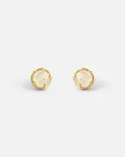 Moonstone / Yellow Gold Studs