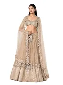 Abhinav Mishra Golden embellished lehenga set