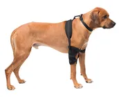 Large Elbow Pet Therapy Wrap