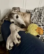 In-Home Overnight — …