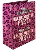 Bachelorette Party Gift Bag