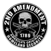 2nd Amendment Patch