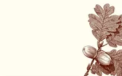 Acorn Place Cards