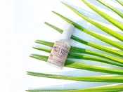 Gentle Facial Fruit Peel