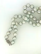 Grey Akoya Pearl Necklace
