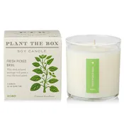 Basil Candle