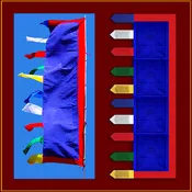 6 foot - Health & Longevity