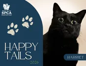 RISPCA 2026 Calendar — RISPCA