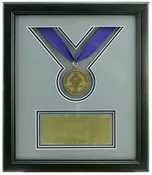 10" x 12" Medal Shadowbox Frame