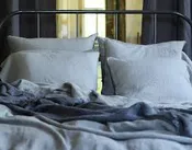 Fitted/Flat Sheet
