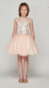 Blush Girl Dress,Girl Dress, Blush Dress, Blush Dress, Flower Girl, Wedding Flower Girl Dress, Blush Teen Dress