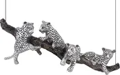 Playful Jaguars