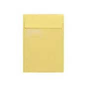 2027 Diary B6 Monthly Planner - Iris: Yellow
