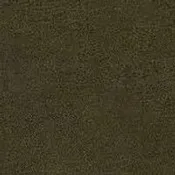 13 Nevada Moos Fabric Swatch