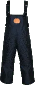 Cordura Scratch Pants