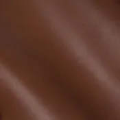 Vermissa