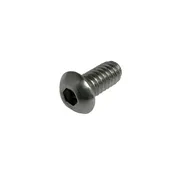 Bearing Screw
