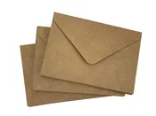Harvest Kraft -- RSVP Envelope