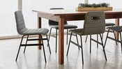Lecture Dining Chair — Dara Modern
